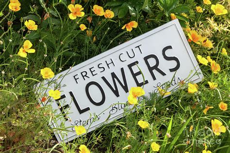 Garden Flowers With Fresh Cut Flower Sign 0753 Photograph By Simon