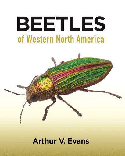 beetles of western north america north america princeton university press america
