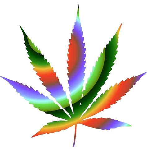 Pot Leaf Drawing Free Download On Clipartmag