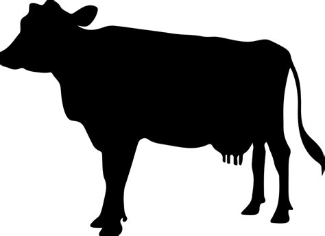 Cows Clipart Silhouette Cows Silhouette Transparent Free For Download