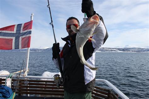 2023 From Tromso All Inclusive Fishing Adventure From Tromso