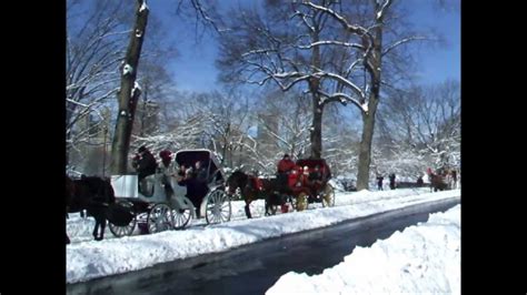 Heavy Snow Turns Central Park Into A Beautiful Winter