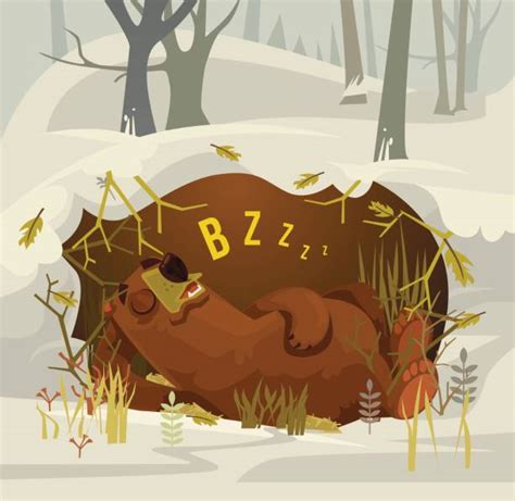 Best Hibernation Illustrations Royalty Free Vector