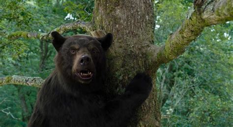 Медведь под кайфом обзор черной комедии о медведе на кокаине от Элизабет Бэнкс рецензия на