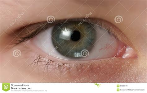Closeup Of Teenage Girl Green Eye Looking Straight Stock Photo Image