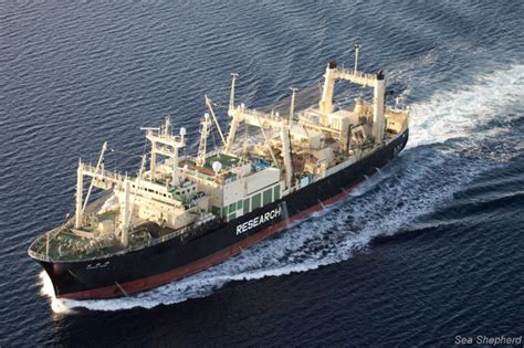 Activistas Encontram Navio Fábrica Nisshin Maru