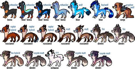 Fursona Timeline 2006 2016 By Dimiyya On Deviantart