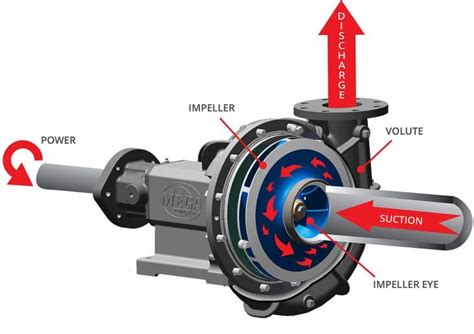 How Does A Centrifugal Pump Work 2024 Guide Growing Magazine