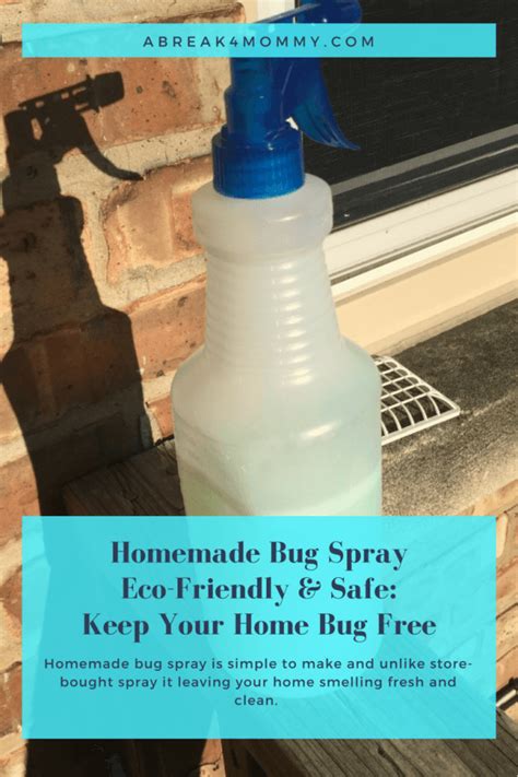 How To Make Homemade Bug Spray Eco Friendly And Safekeep Your Home Bug