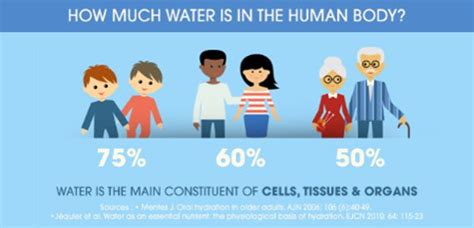 Your body relies on water to act as a courier system. The Water in You - Aussie Aqua Purified & Alkaline ...