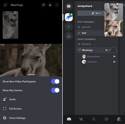 How To Use Discord Video Chat