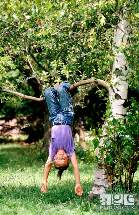 Girl Hanging Upside Down From A Tree Branch Stock Photo Picture And Rights Managed Image Pic