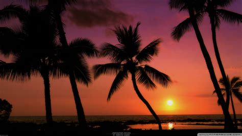 Tropical Sunset Ultra Hd Desktop Background Wallpaper For
