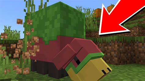 Eu Testei O Novo Mob Do Minecraft Sniffer Farejador Youtube