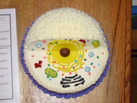 Animal Cell Cake For Science Project — Decorated By Kids Animal Cell