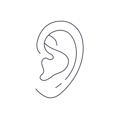 Premium Vector Human Ear In Line Stylesimple Vector Graphic Isolated