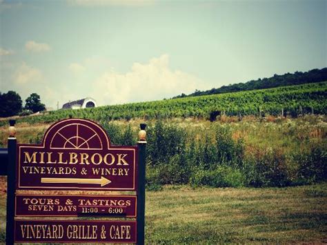 Millbrook Vineyards And Winery 2018 All You Need To Know Before You Go