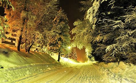 2560x1600 Landscape Photography Nature Snow Trees Road Wallpaper