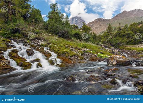 Mountain Stream And Meadow Stock Photo Image Of Meadow 66943174
