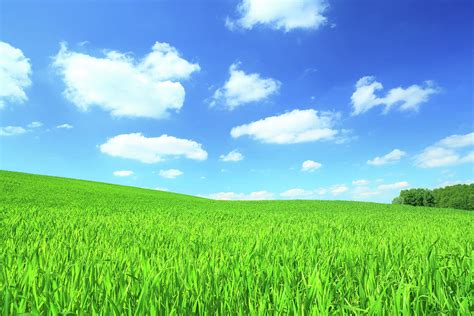 Green Field And White Clouds On Blue Sky By Konradlew