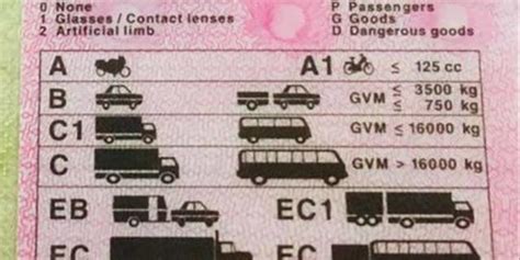 New Sa Driving Licence E Service System Introduced Ofm