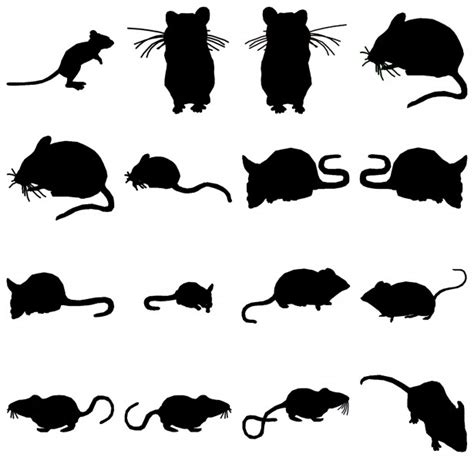 รายการ 101 ภาพ Mouse สุขภาพ ครบถ้วน