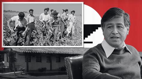 Cesar Chavez Labor Leader And Civil Rights Activist Video Pbs