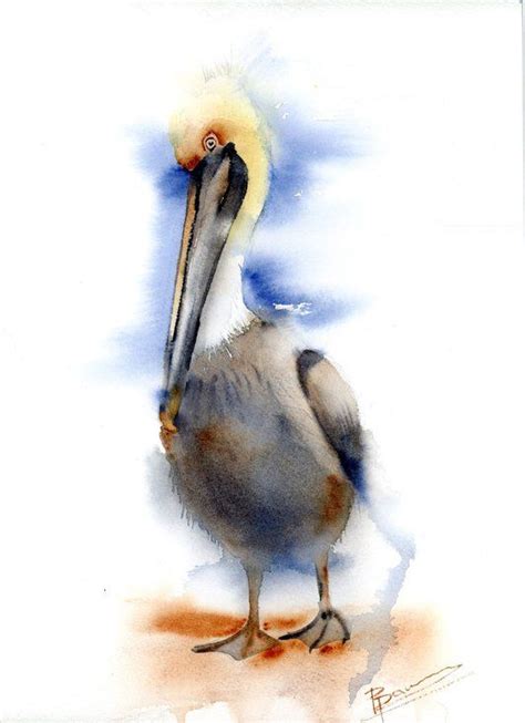 The Pelican 2019 Watercolour By Olga Shefranov Pelican Painting