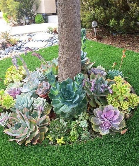 Famous How To Landscape Front Yard With Succulents References