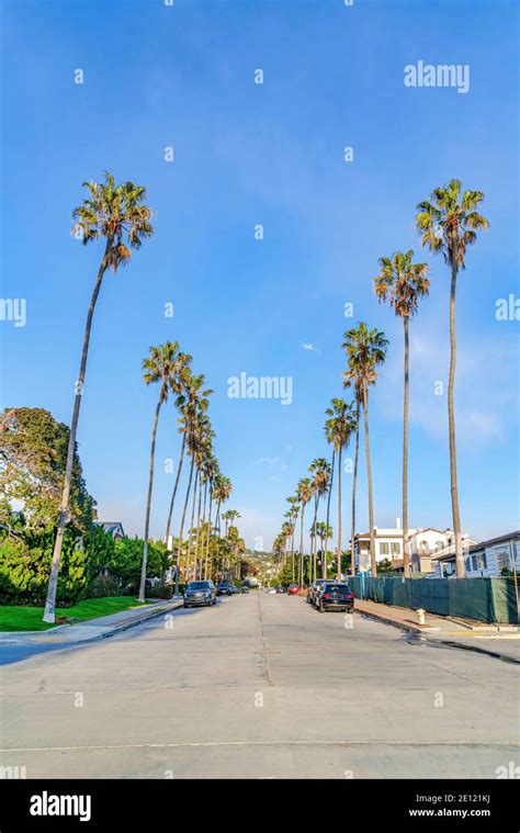Palm Tree Lined Street In California Hi Res Stock Photography And