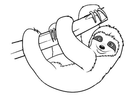 Sloth Coloring Pages - Best Coloring Pages For Kids