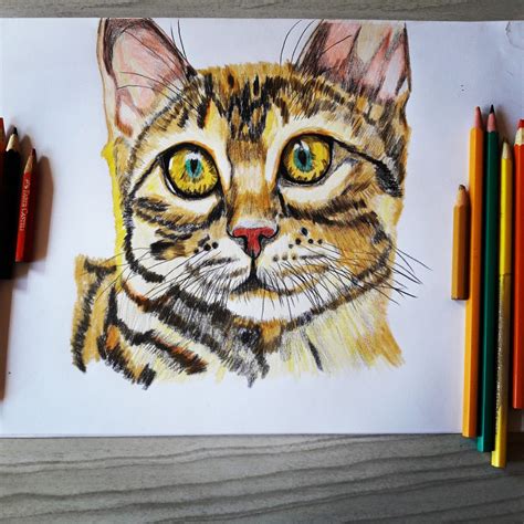 Como Desenhar Um Gato Preto