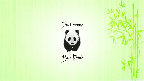 Panda Hd Wallpaper 79 Images
