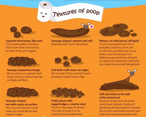 Know What Your Poop Says About Your Health Infographic 1