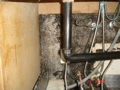 Even if black mold isn't visible, it could be growing on the underside of the sink cabinet or behind the wallboard. Black Mold on Pinterest | Mold Removal, Remove Black Mold ...