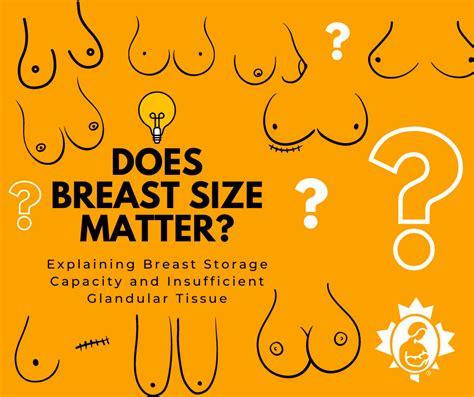 Does Breast Size Matter La Leche League Canada Breastfeeding