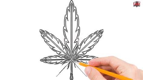 I like to have 2 color layers behind the brances. How to Draw a Weed Leaf Step by Step Easy for Beginners ...