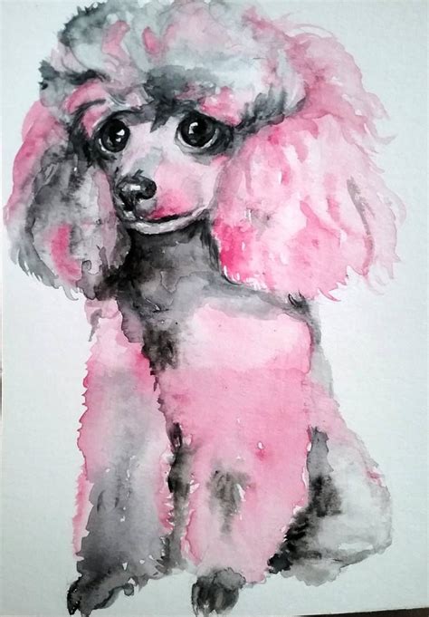 Pink Poodle Painting Dog Paintings Poodle Drawing Pink Poodle
