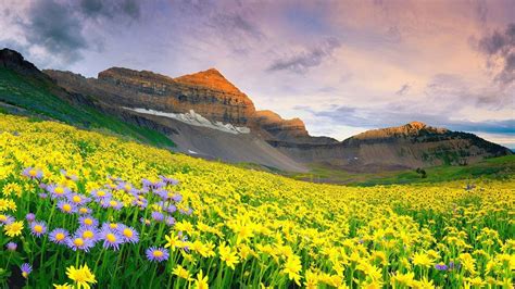 Beautiful India Day 4 Valley Of Flowers National Park Uttarakhand