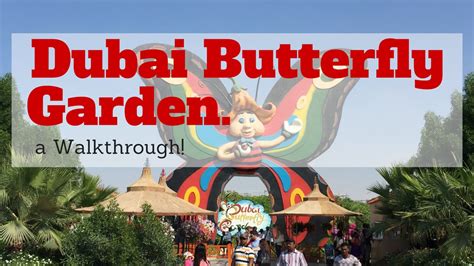 Butterfly Garden Dubai A Walkthrough Youtube