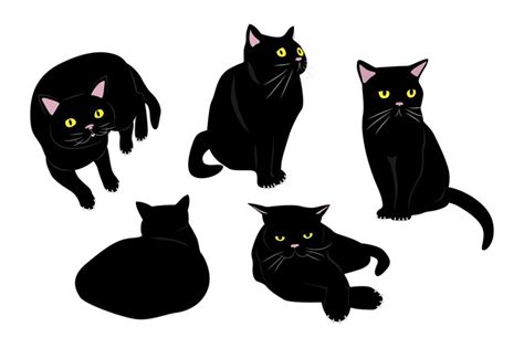Premium Vector Black Cat Illustration Set