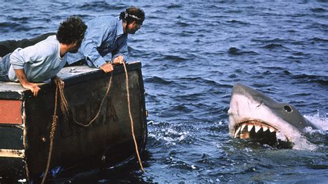 New Jaws Themed Musical Bruce From Bandstand Writers Sets World