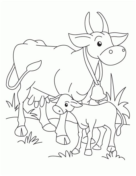 Calf Cow Farm Pages Animal Clipart Coloring Baby Cute Drawings Template