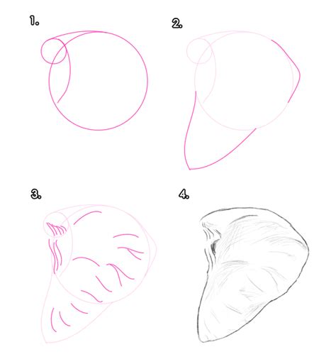 But if you wanna be a thu. How to Draw Animals: Elephants, Their Species and Anatomy