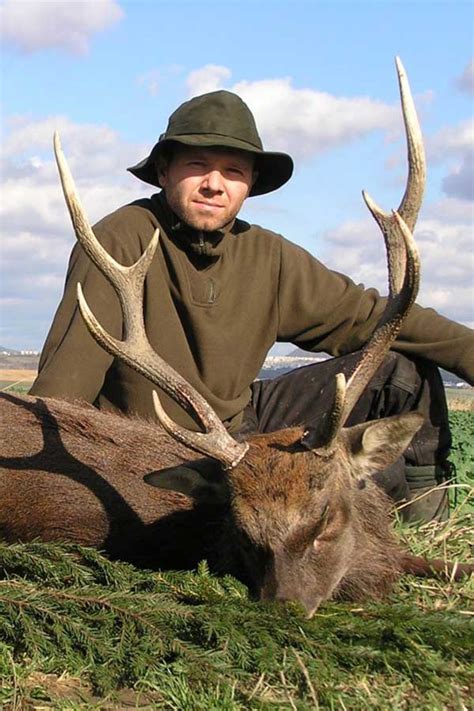 Sika Deer Individual Hunting Czech Hunting