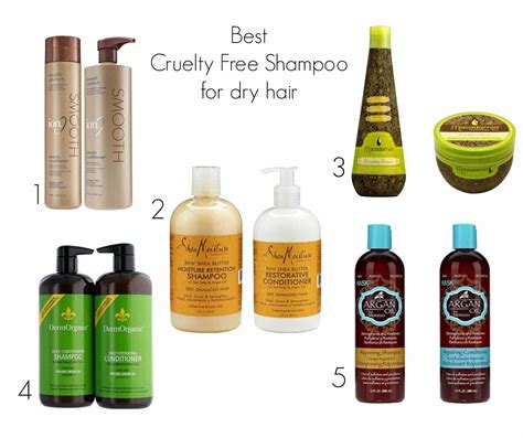 Best Shampoo Thick Frizzy Hair