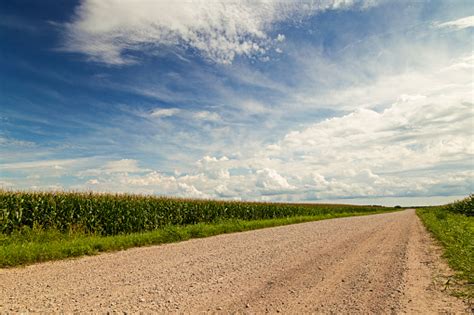 Cornfield Along Country Road Stock Photo Download Image Now Istock