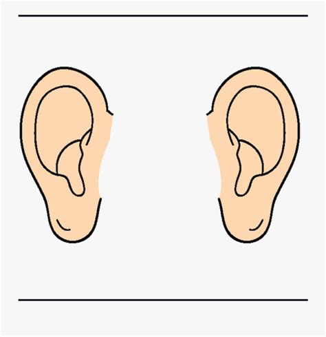 Ear Panda Free Images Ears Clipart Transparent Png 2 Ears Clip Art