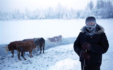 Welcome To Oymyakon World S Coldest Inhabited Village Where Temperature Could Drop To 67c −90