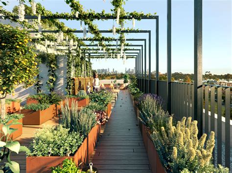 Rooftop Garden Design Melbourne